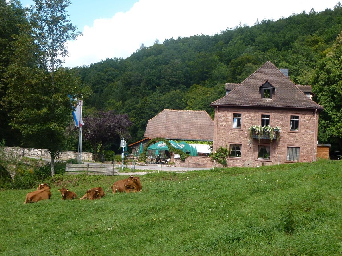 Hotelgasthof Buchenmuehle Lohr nad Menem Zewnętrze zdjęcie