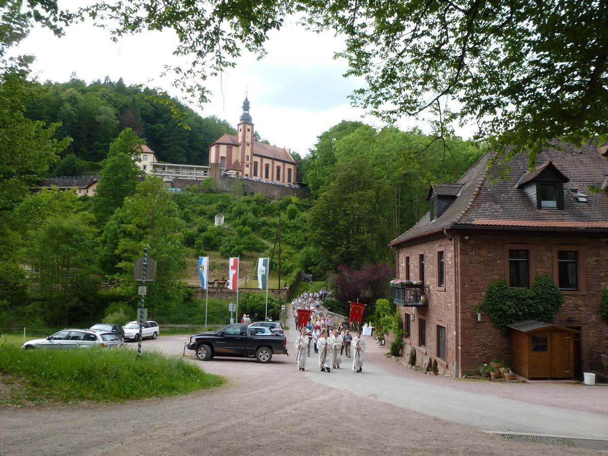 Hotelgasthof Buchenmuehle Lohr nad Menem Zewnętrze zdjęcie