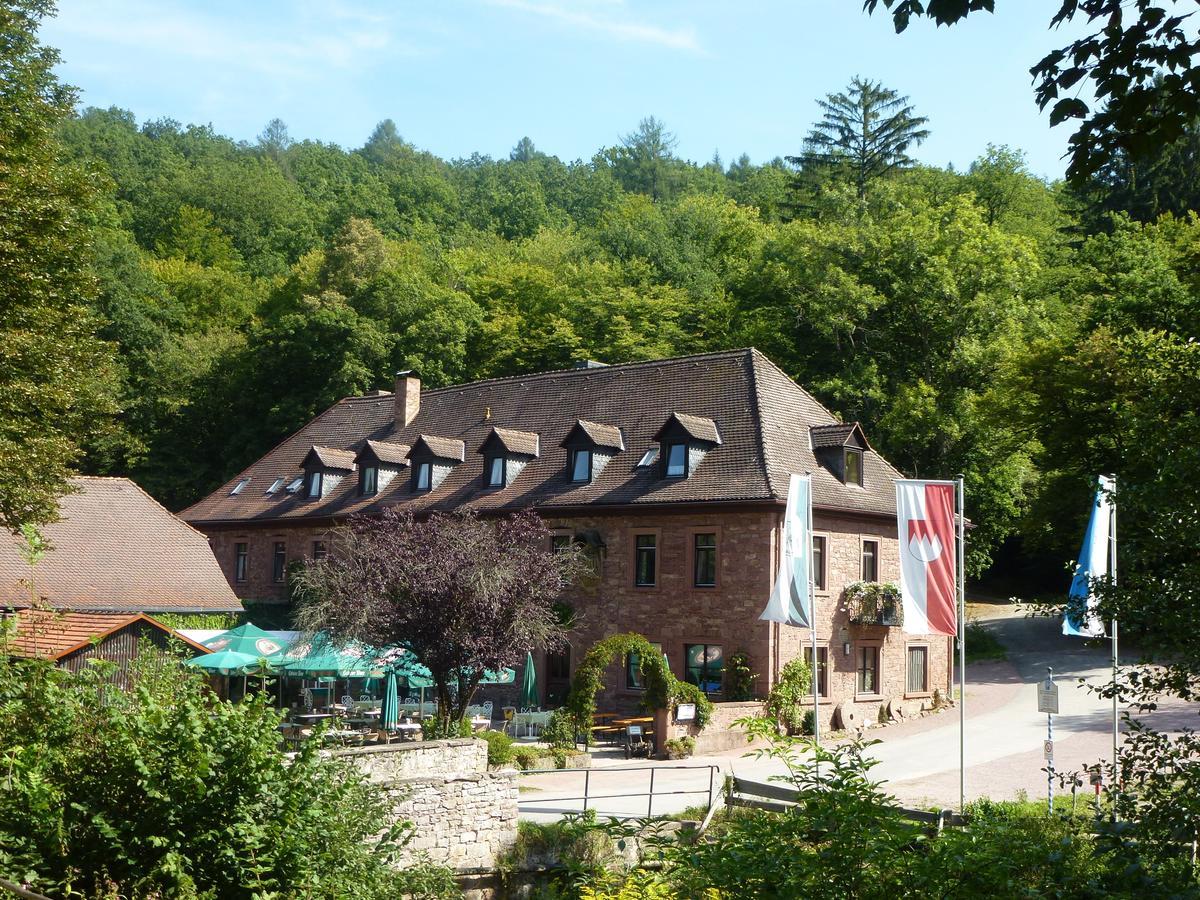 Hotelgasthof Buchenmuehle Lohr nad Menem Zewnętrze zdjęcie